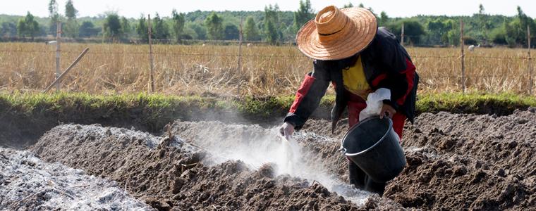 Ý Nghĩa Của Việc Bón Vôi Trong Quá Trình Cải Tạo Đất - Cẩm nang Hải Phòng