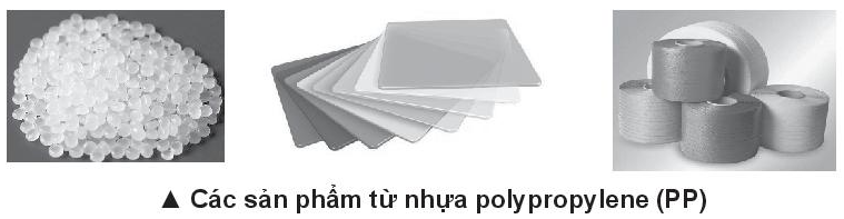 D:\Documents\SÁCH CHƯƠNG TRÌNH MỚI\Ảnh, video phụ trợ\Bài 14 sản phẩm từ nhựa PP.PNG