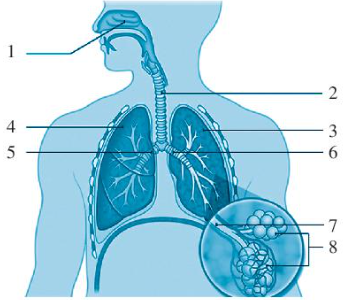 DiagramDescription automatically generated