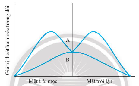 Chart, radar chartDescription automatically generated