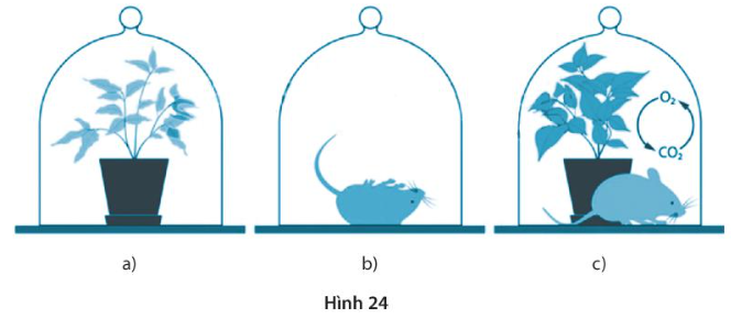 DiagramDescription automatically generated with medium confidence