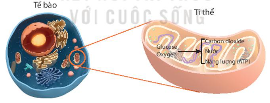 DiagramDescription automatically generated