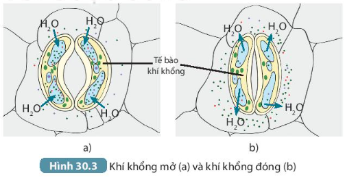 DiagramDescription automatically generated