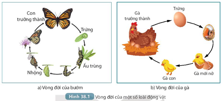 DiagramDescription automatically generated