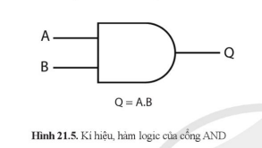 Ảnh có chứa biểu đồ, hàng, Phông chữ, màu trắng    Mô tả được tạo tự động