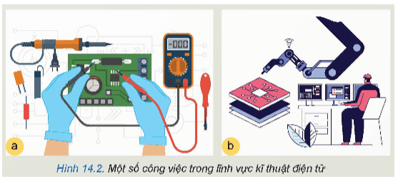 Quan sát và mô tả các công việc trong Hình 14.2 trang 69 Công nghệ 12