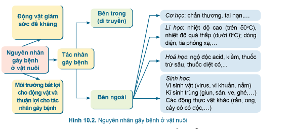 DiagramDescription automatically generated