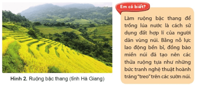 Lịch Sử và Địa Lí lớp 4 Cánh diều Bài 4: Dân cư, hoạt động sản xuất và một số nét văn hóa ở vùng Trung du và miền núi Bắc Bộ (ảnh 2)