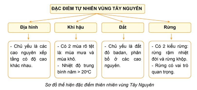 Lịch Sử và Địa Lí lớp 4 Chân trời sáng tạo Bài 19: Thiên nhiên vùng Tây Nguyên