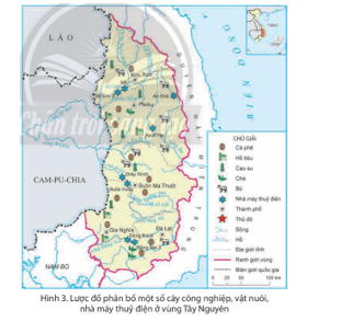 Lịch Sử và Địa Lí lớp 4 Chân trời sáng tạo Bài 20: Dân cư và hoạt động sản xuất ở vùng Tây Nguyên