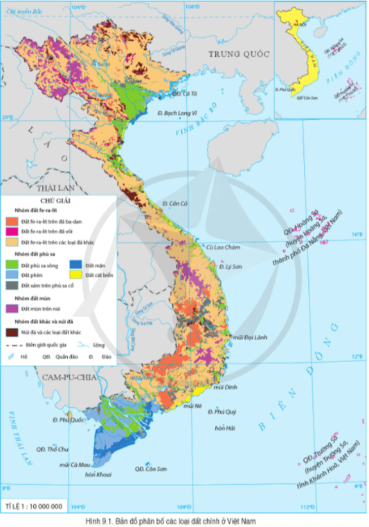 Đọc thông tin và quan sát hình 9.1, hãy trình bày đặc điểm, sự phân bố của nhóm đất mùn