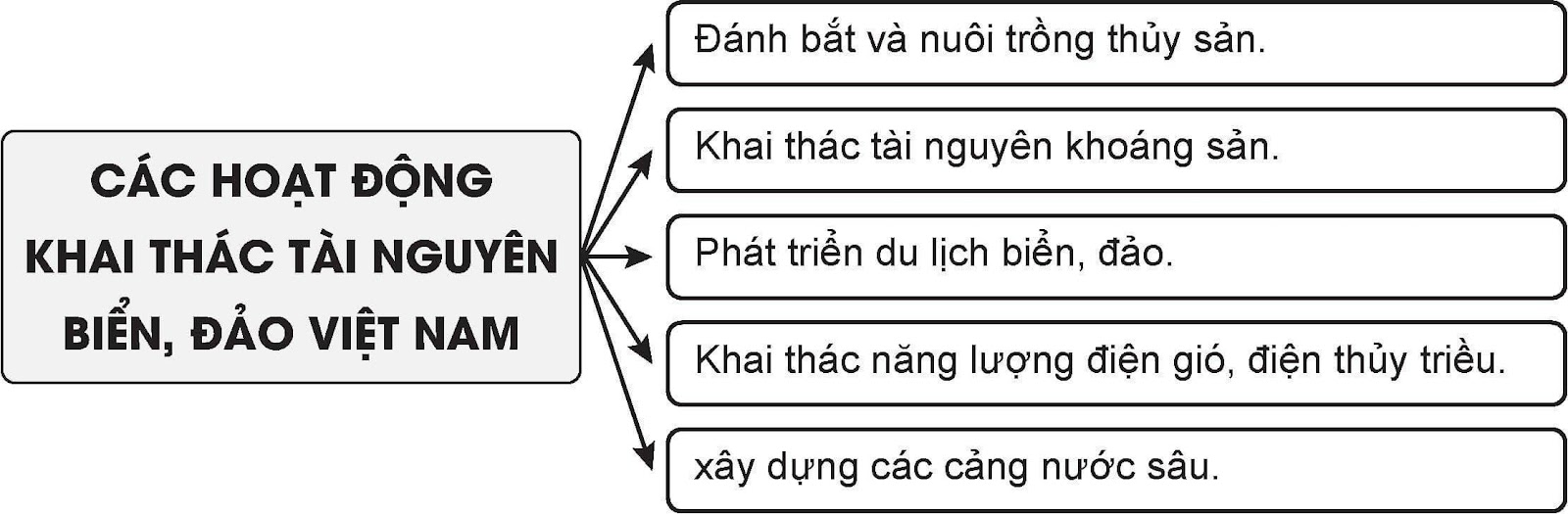 Vẽ sơ đồ thể hiện các hoạt động khai thác tài nguyên biển đảo nước ta