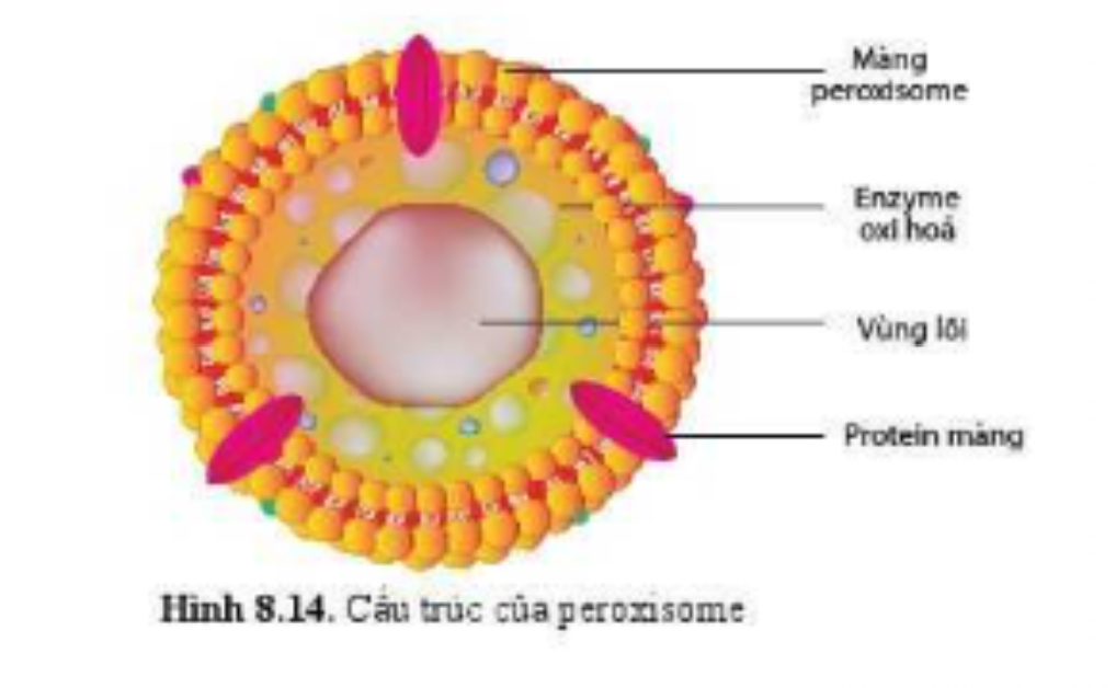 Diagram, schematicDescription automatically generated